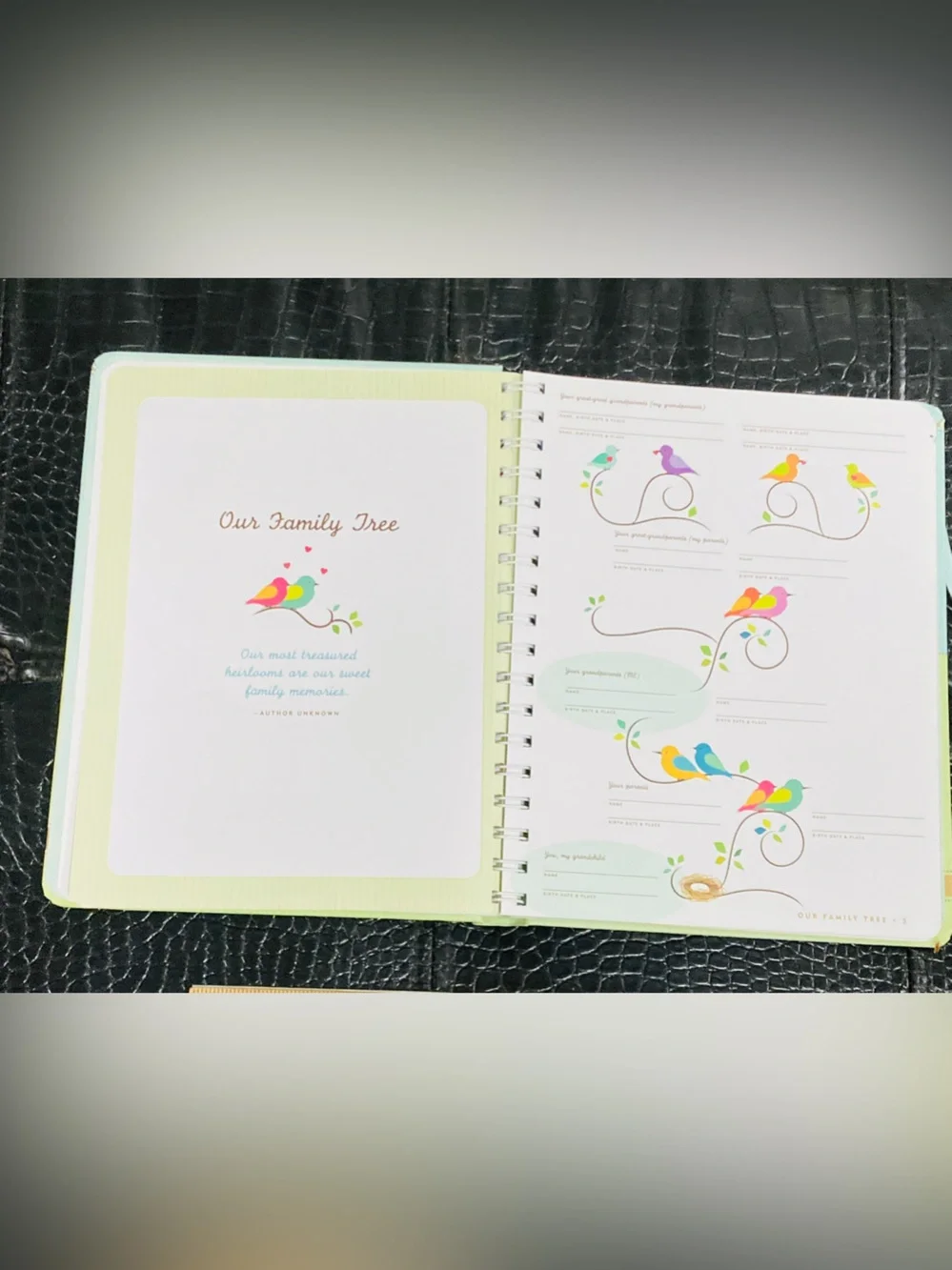 Memories for My Grandchild: A Keepsake to Remember Fill-In Journal